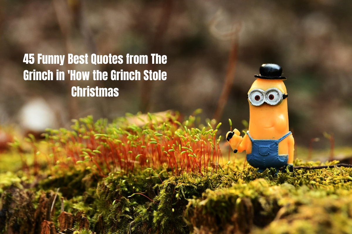 45 Funny Best Quotes from The Grinch in 'How the Grinch Stole Christmas