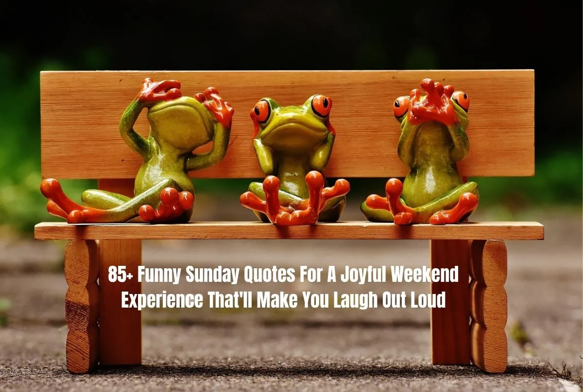 85+ Funny Sunday Quotes For A Joyful Weekend Experience That'll Make You Laugh Out Loud